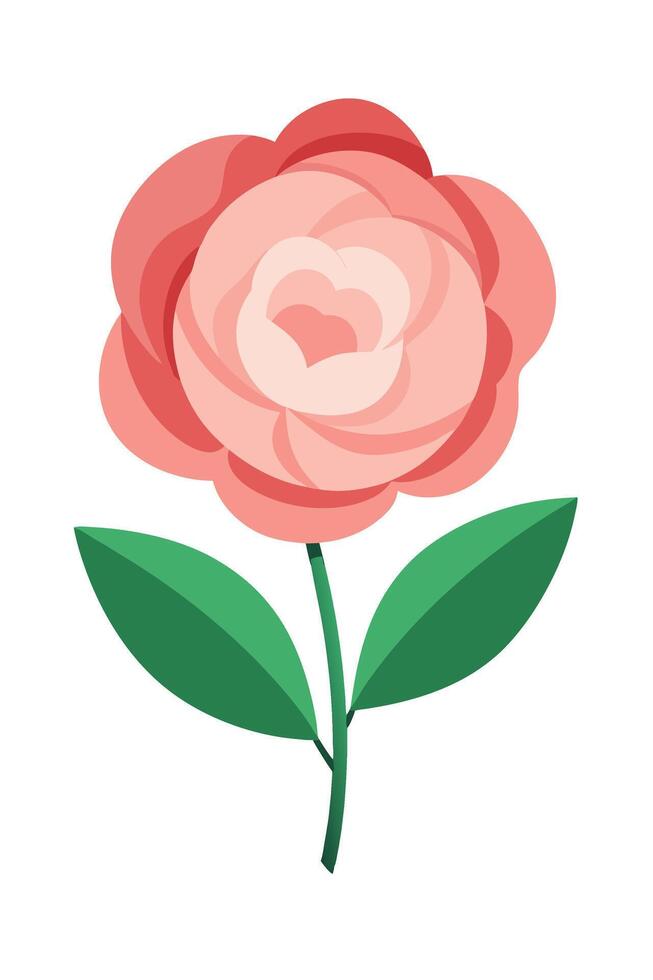 Pink Rose Flower Illustration Simple, Elegant, Botanical Design vector