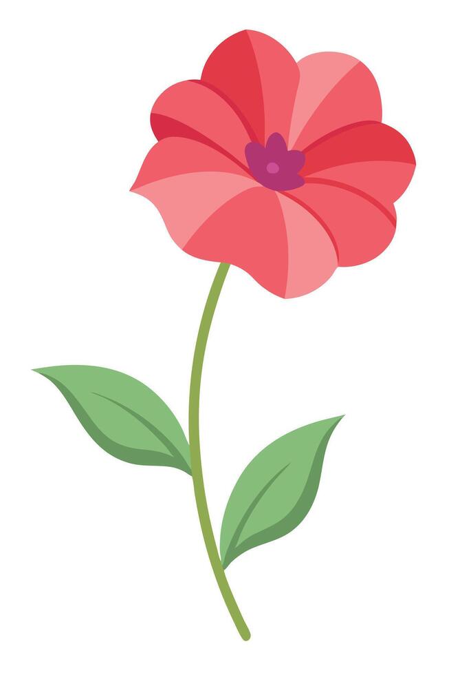 Single Pink Flower Blossom, Stem, Leaves, Botanical Illustration vector