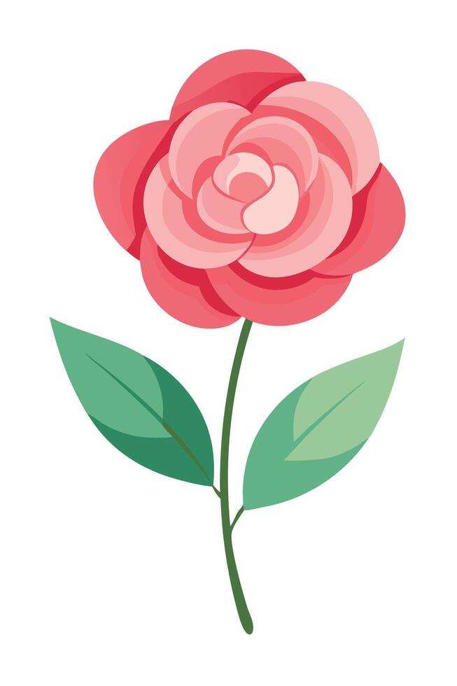 Pink Camellia Flower Bloom, Elegant Botanical Illustration vector