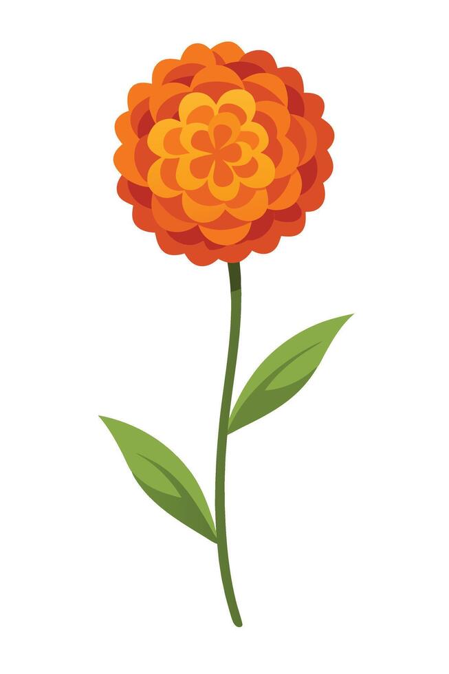 Vibrant Orange Marigold Flower, Single Stem, Green Leaves, Floral Design vector