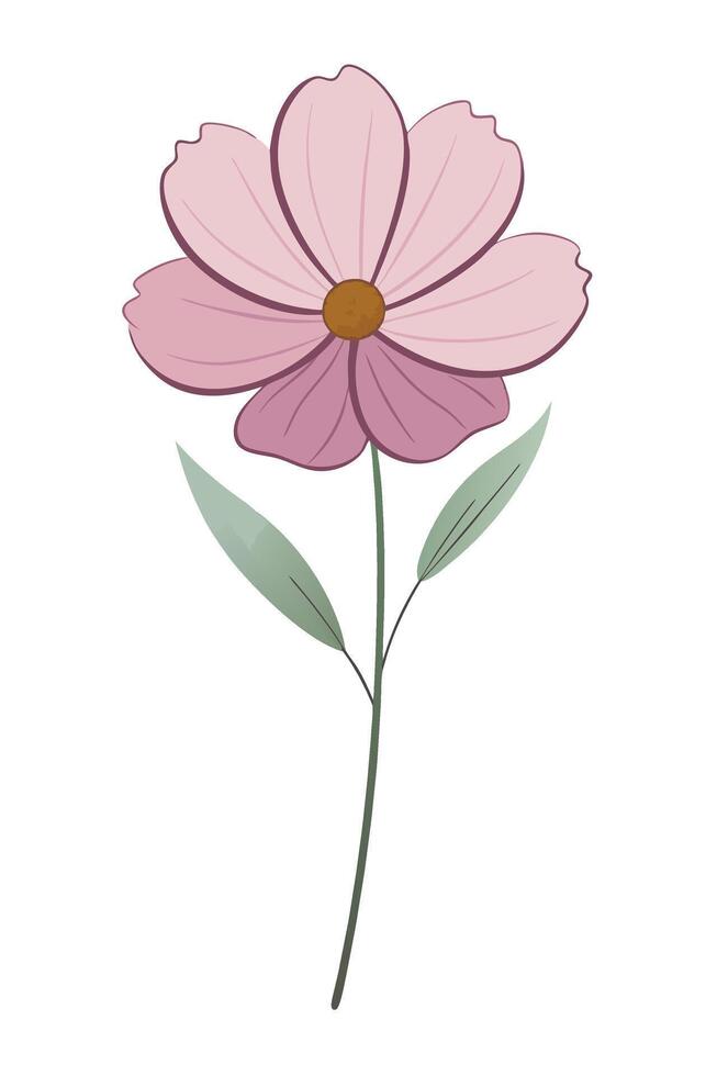 Elegant Pink Cosmos Flower Illustration, Simple Botanical Design vector
