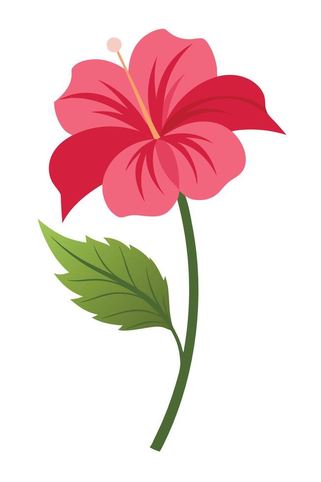 Vibrant Pink Hibiscus Flower, Single Stem, Green Leaf, Botanical Illustration vector