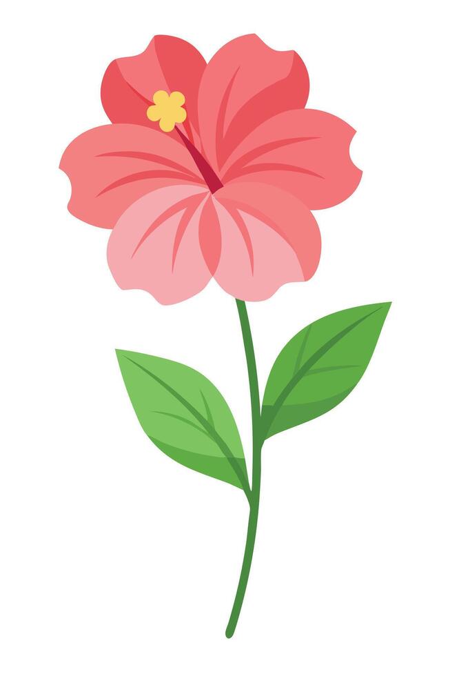 Pink Hibiscus Flower Bloom, Single Stem, Green Leaves, Floral Illustration vector