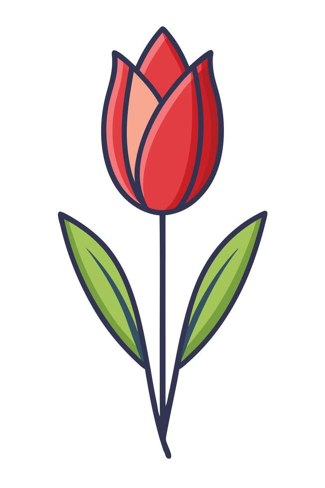 Single Red Tulip Flower Blossom Spring Nature Botanical Illustration vector