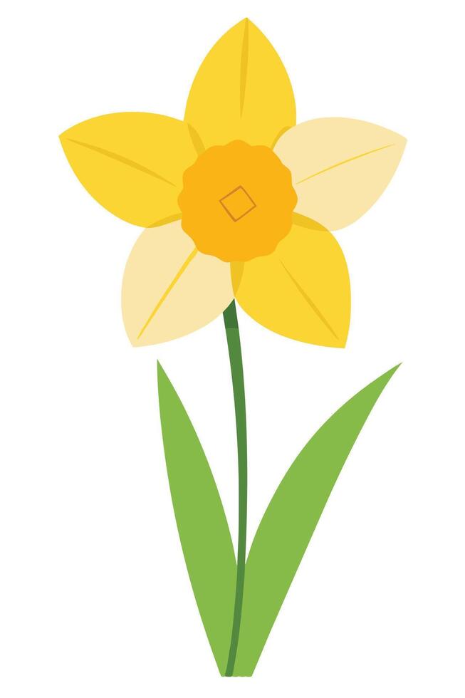 Single Yellow Daffodil Flower Spring Bloom Botany Illustration vector
