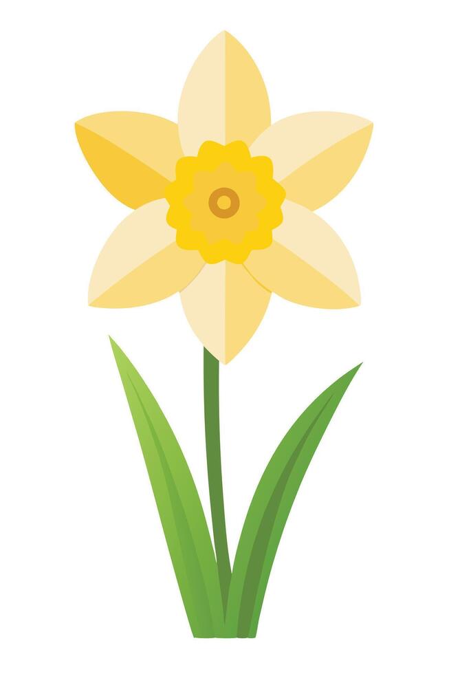 Single Yellow Daffodil Flower Spring Bloom Illustration Design vector