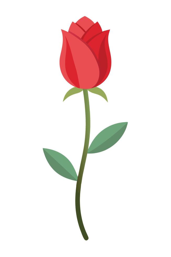 Single Red Rose Flower Stem, Leaves, Elegant Floral Design vector