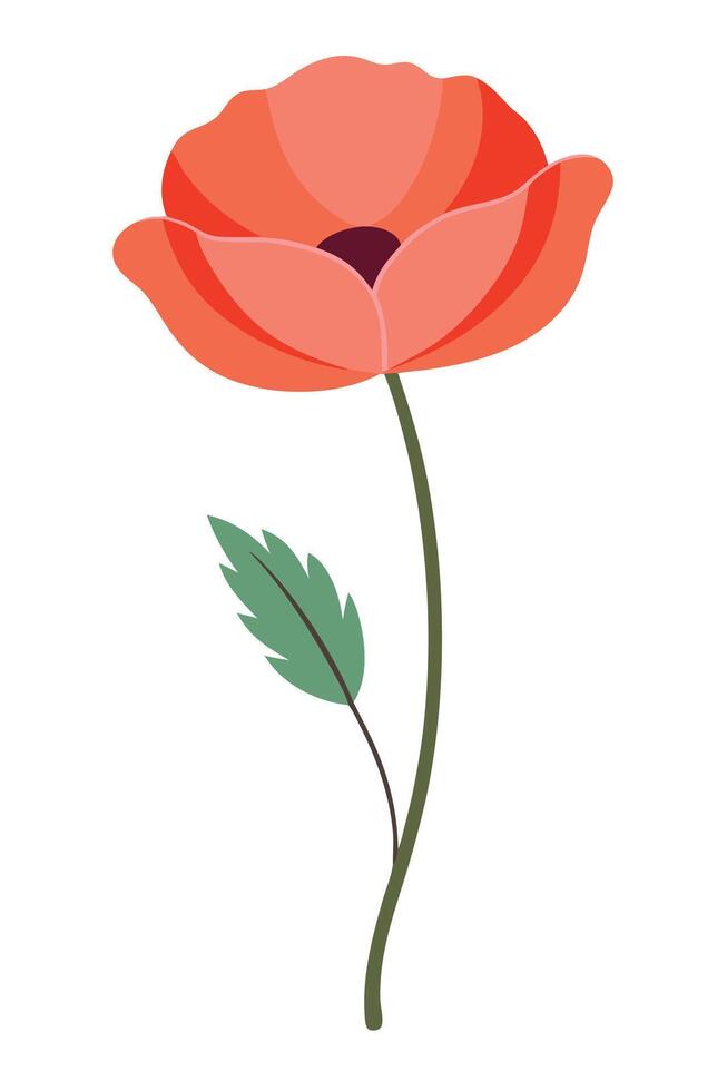 Single Red Poppy Flower, Stem, Leaf, Isolated, Floral, Botanical, Illustration, Nature, Design, Art vector