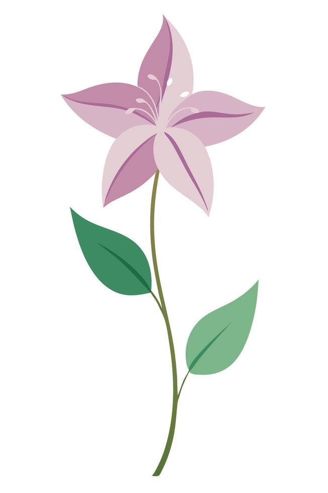 Elegant Purple Flower with Green Leaves, Simple Botanical Illustration vector