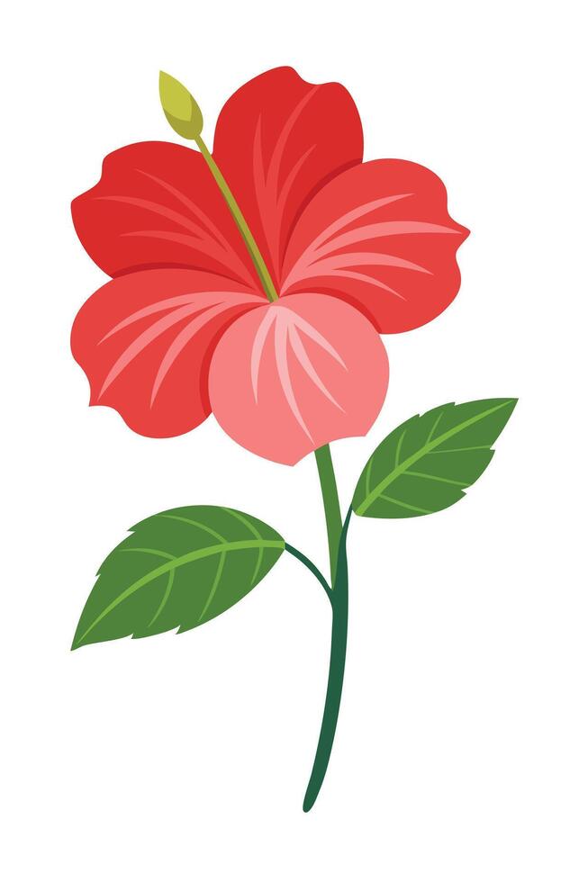 Vibrant Red Hibiscus Flower, Green Leaves, Botanical Illustration vector