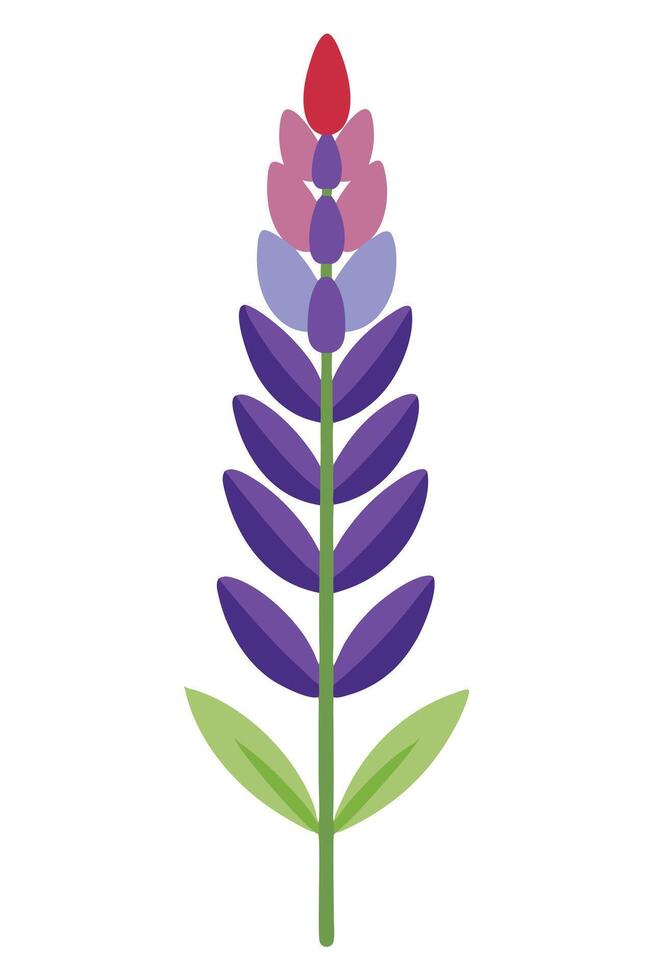 Lupine Flower Illustration Purple, Pink, Red, Green, Bloom vector