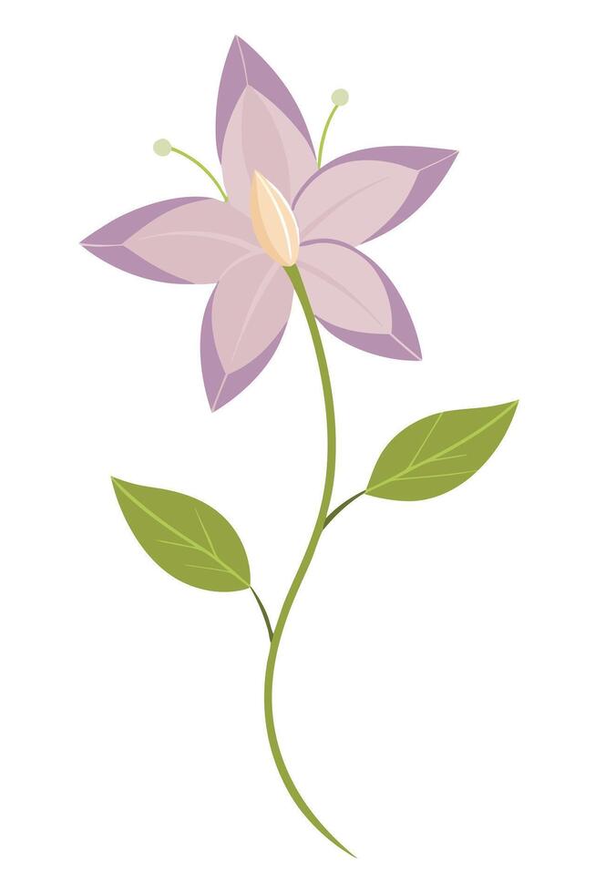 Elegant Purple Flower Blossom, Simple Floral Illustration, Nature vector