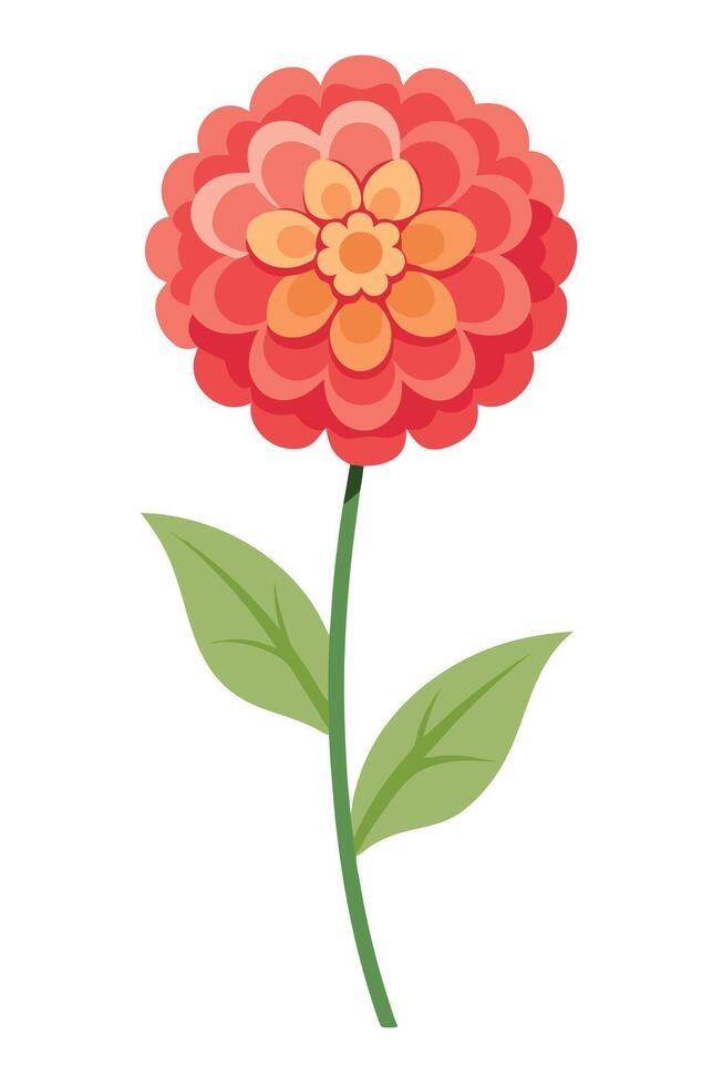 Single Zinnia Flower Blossom, Red Petals, Green Leaves, Stem vector