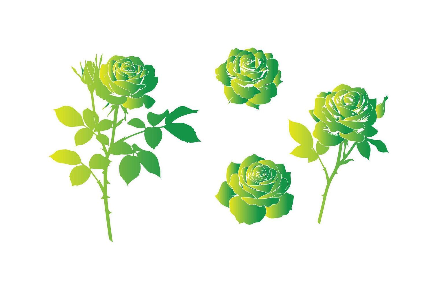 Beautiful Gradient Roses for Floral Branding vector