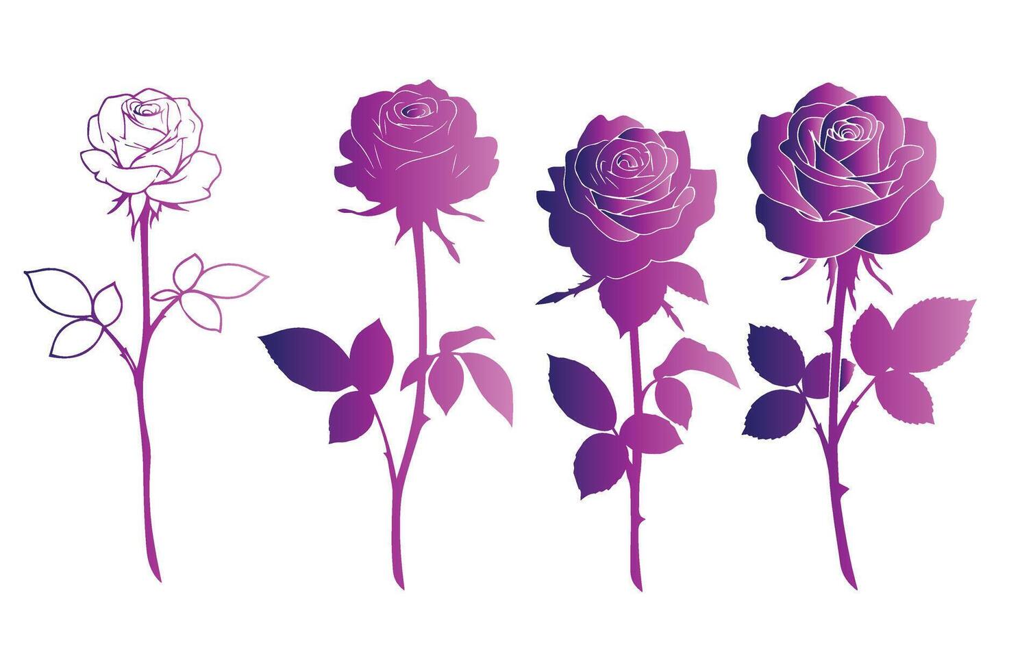 Pink and Purple Roses for Modern Floral Art vector