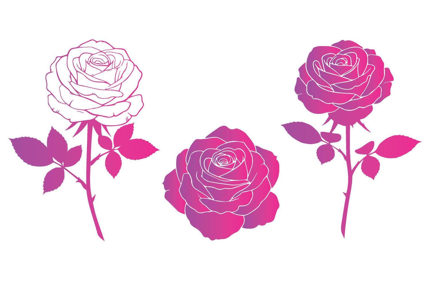 Sophisticated Rose Graphics for Romantic Themes vector