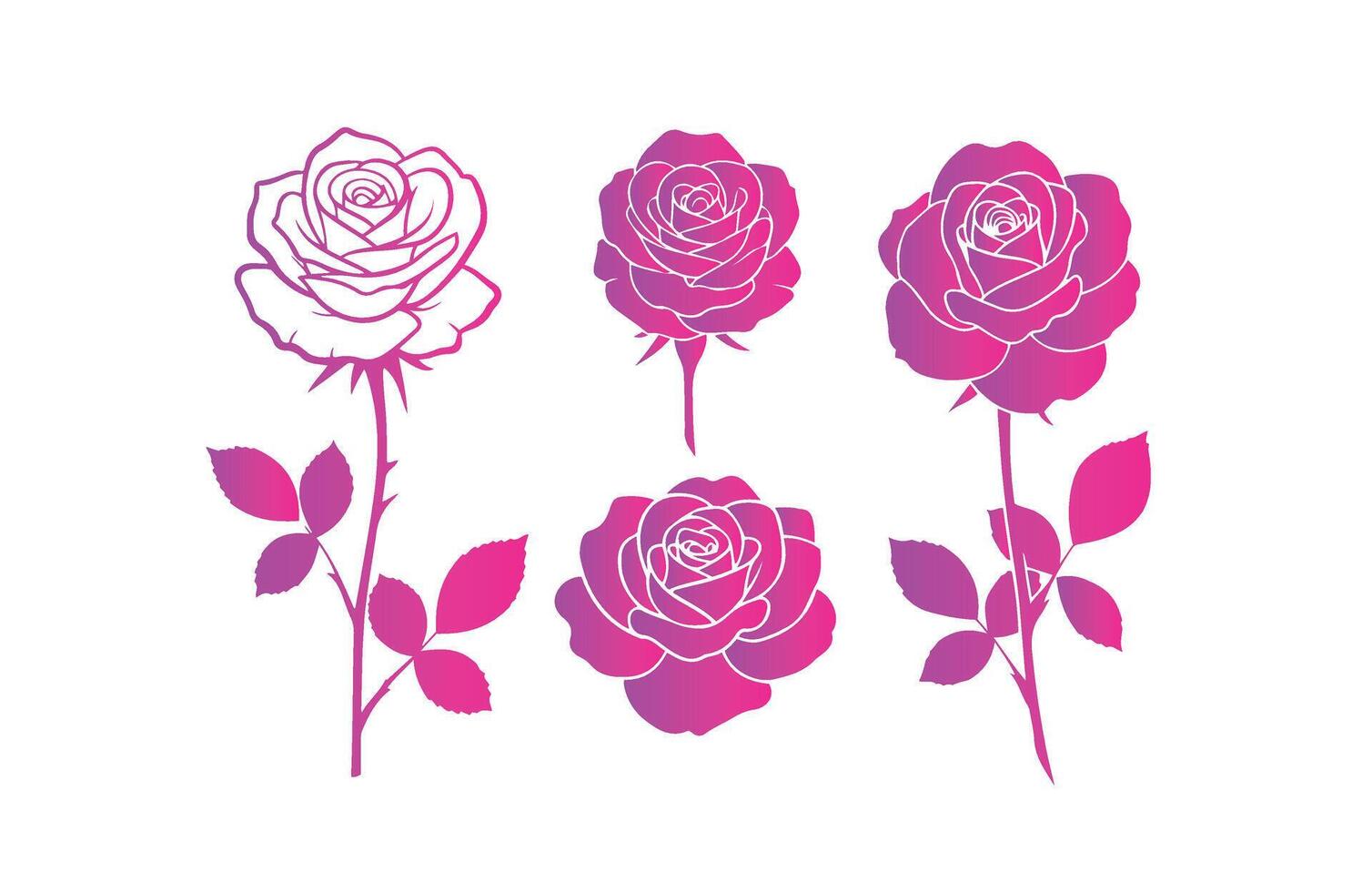 Timeless Rose Graphics in Stylish Pink and Purple vector