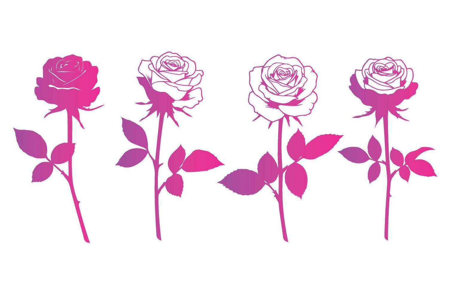 Pink and Purple Roses for Wedding and Event Designs vector