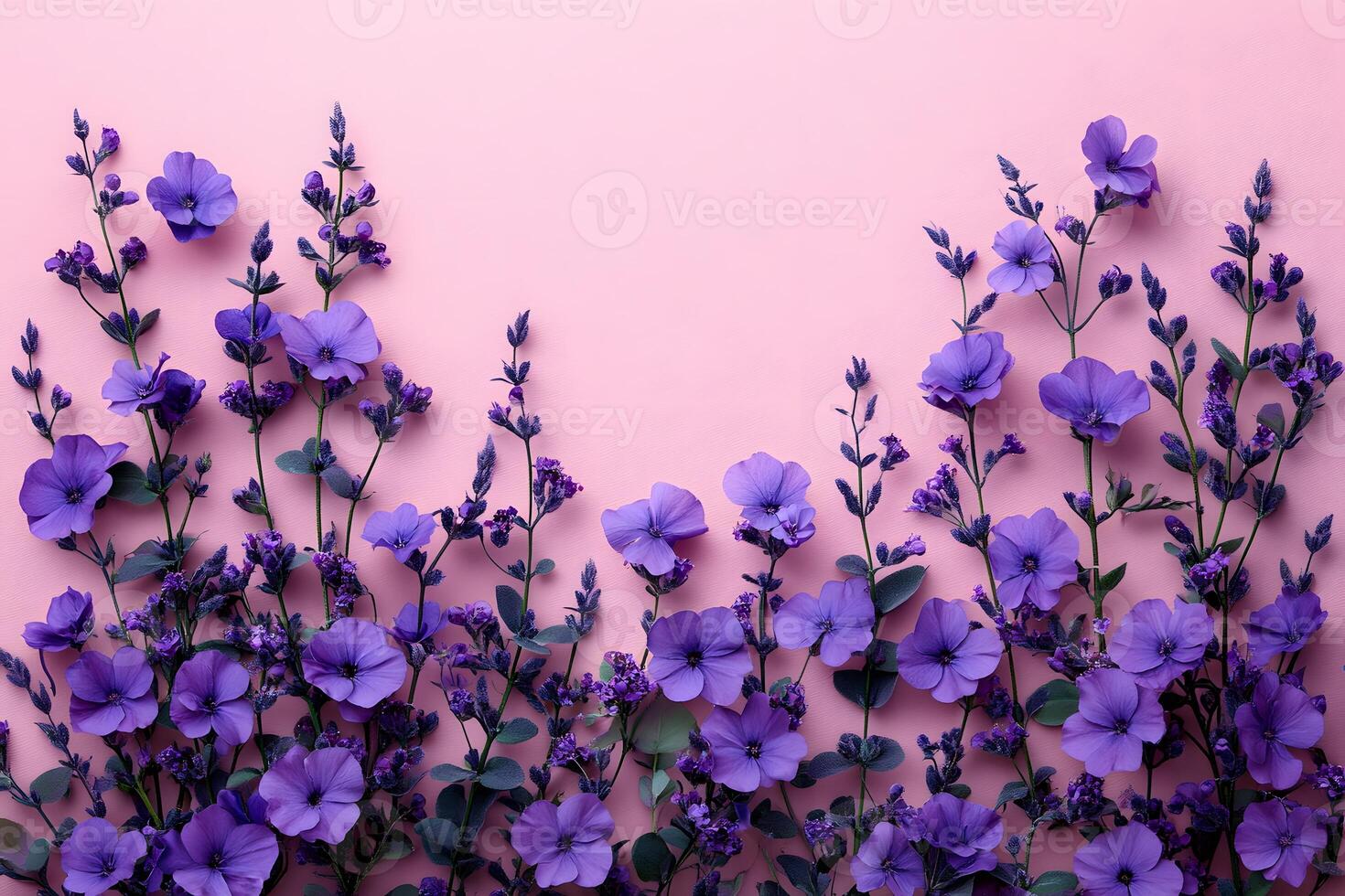 Purple Floral Arrangement on Pink Background for Spring Design and Decor photo