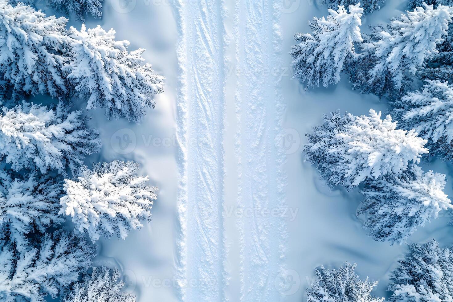 Winter Wonderland Aerial View with Snow-Covered Pine Trees and Pathway photo