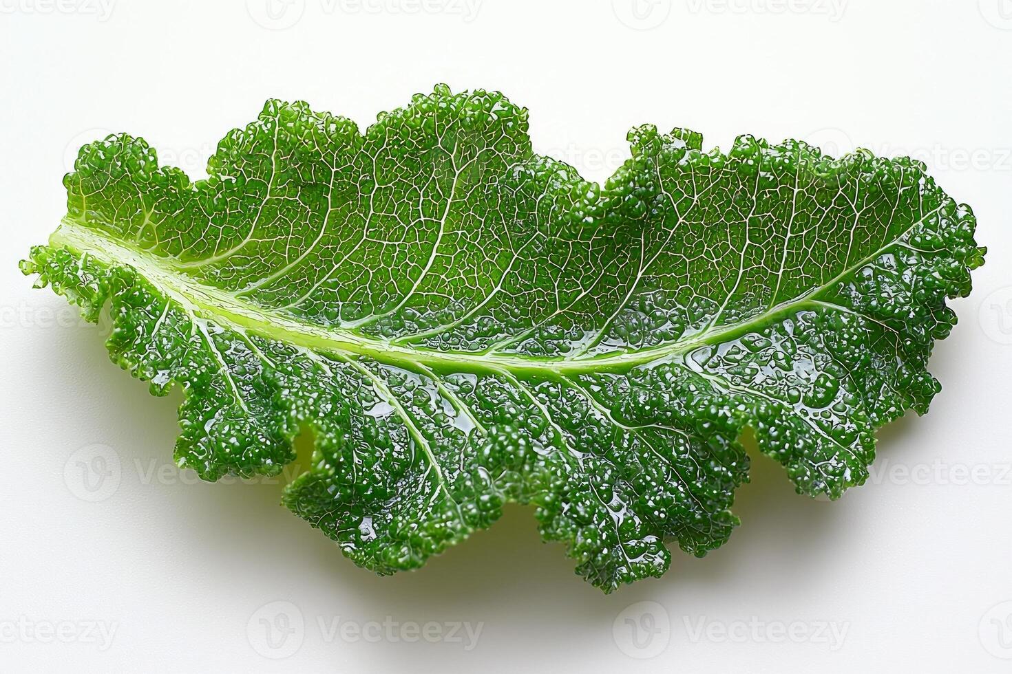 Macro focus highlights detailed texture of single kale leaf. deep green veins and curly edges create striking contrast against white background emphasizing its natural beauty photo
