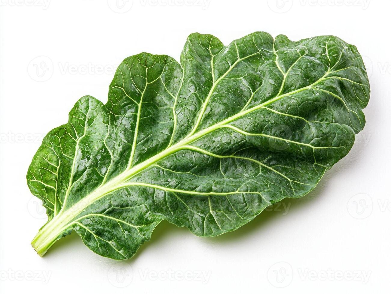 Deep green collard leaves showcase intricate vein structures and rich color set against neutral background enhances their natural beauty and texture photo