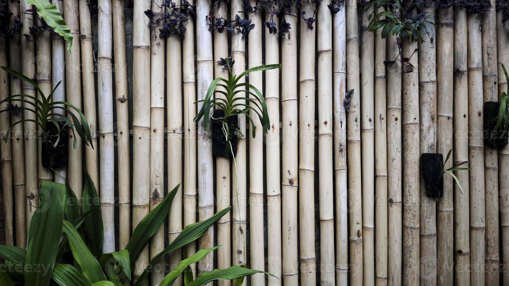 Natural Bamboo Wall with Green Tropical Plants and Orchids Creating a Rustic and Organic Garden Ambience photo