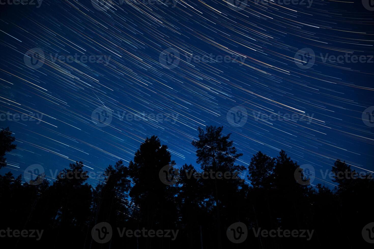 Star trails vividly illuminate the night sky above a silhouette of tall trees in a serene forest setting. The clear evening enhances the stunning display of celestial movement. photo