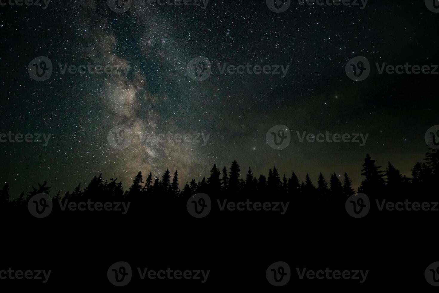 A breathtaking view features a forest silhouette against a clear night sky, showcasing countless stars and the Milky Way stretching across the horizon, creating a serene atmosphere. photo