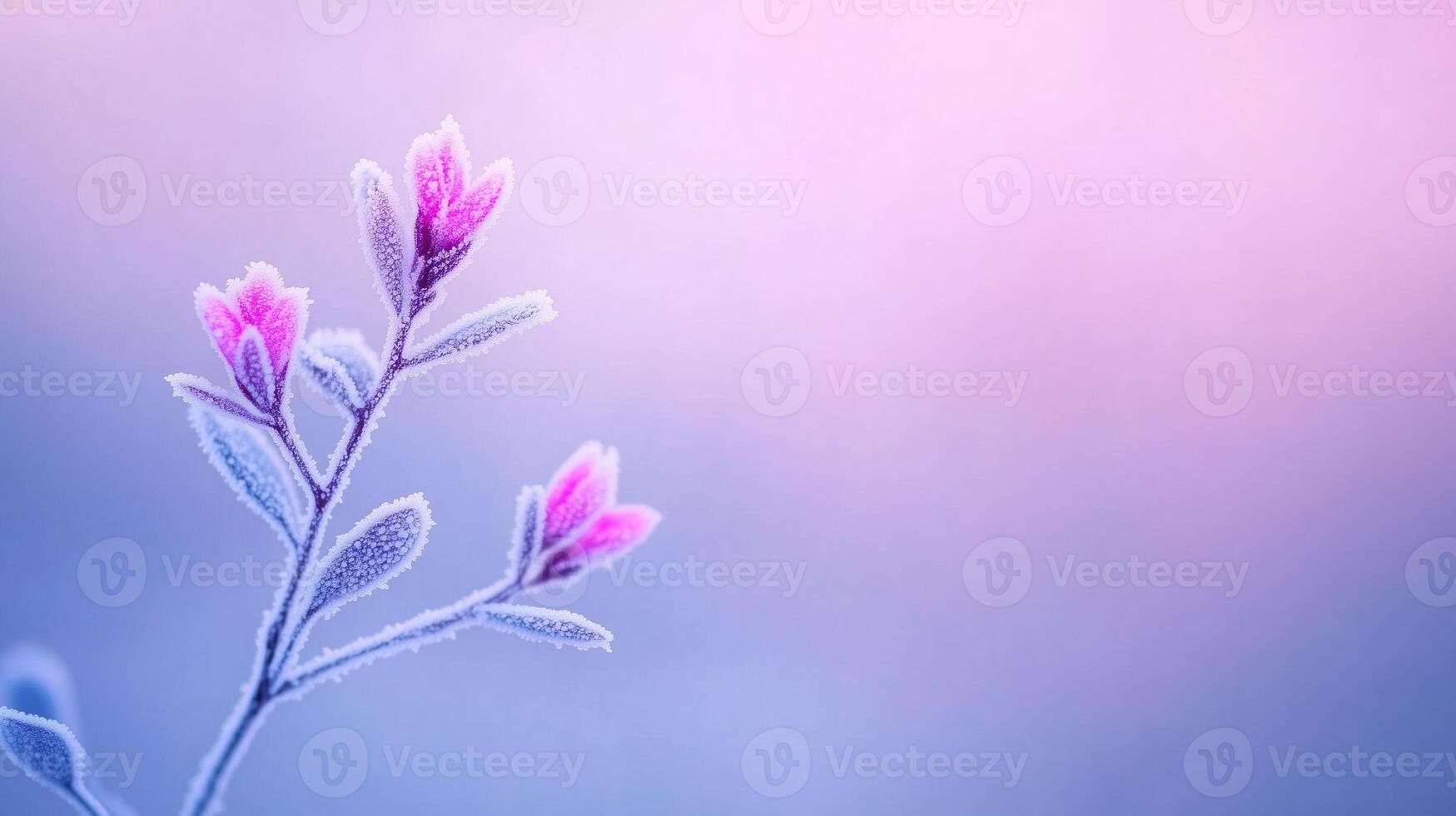 Close Up of Ice Crystals and Frost on Delicate Flowers Against Pastel Background Highlighting Winter's Intricate Patterns in Nature's Frozen Beauty photo