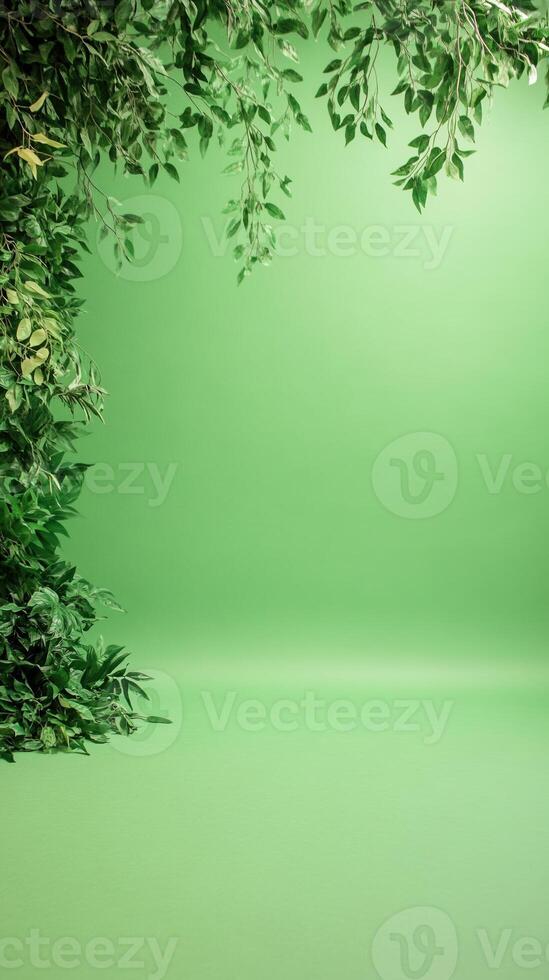 Lush Green Screen Backdrop With Foliage for Kids TV Show Perfect for Inserting Creative Graphics photo