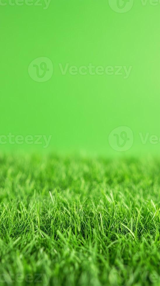 Green Screen Background with Grass for Educational Lessons and Digital Insertion, Ideal for Adding Equations or Text, Vibrant Green Color, Nature Theme, Perfect for Online Learning Content photo