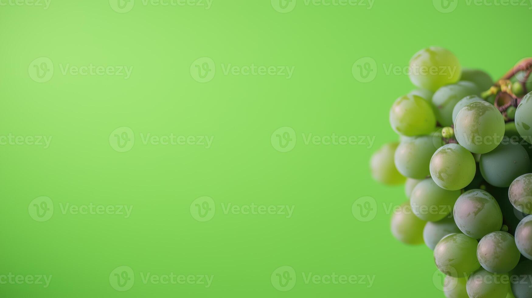 Green Screen Backdrop With Cluster Of Grapes In Vineyard Setting For Wine Tasting And Nature Concept Stock Image photo