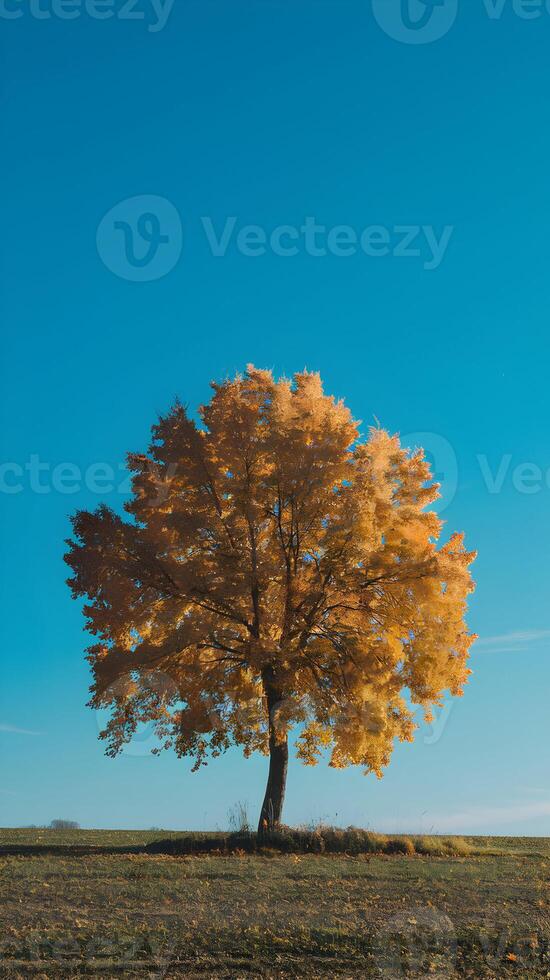 Solitary tree with golden leaves in open field beneath vibrant blue sky. Vertical Mobile Wallpaper photo
