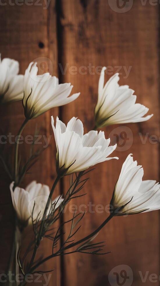 White Flowers Delicate blooms against rustic wood evoke vintage serenity Vertical Mobile Wallpaper photo