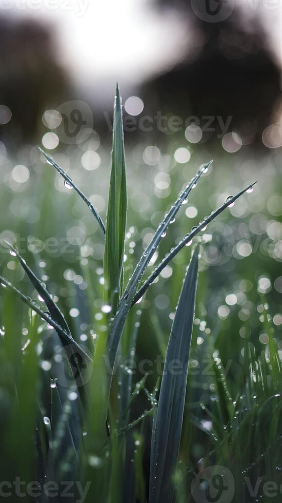 Dewy Leaves Sparkling droplets highlight fresh greenery in serene morning light Vertical Mobile Wallpaper photo