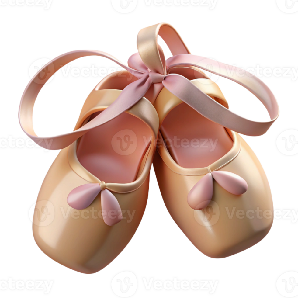 3D Rendered Pink Ballet Shoes png