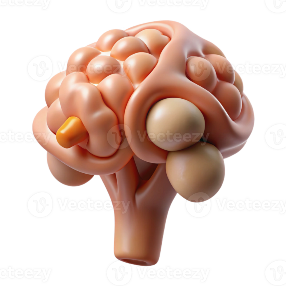 3D Abstract Brain Anatomy png
