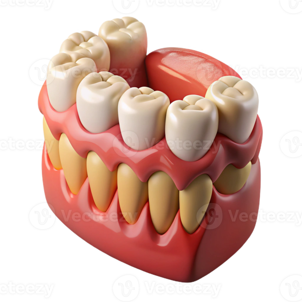 3D Render of Teeth and Gums png