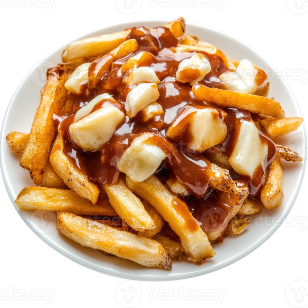 Delicious Poutine Plate on transparent background. png