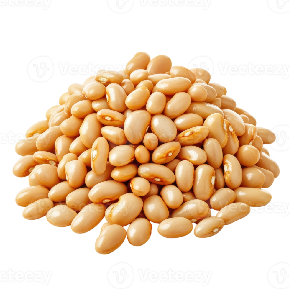 White Beans Background Texture on transparent background. png