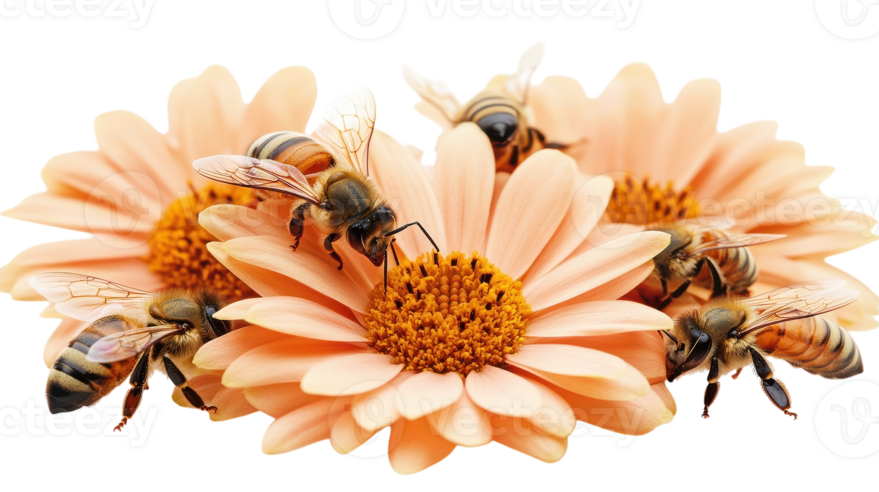 Bees collecting nectar from pink flowers in a vibrant garden during bright daylight. png