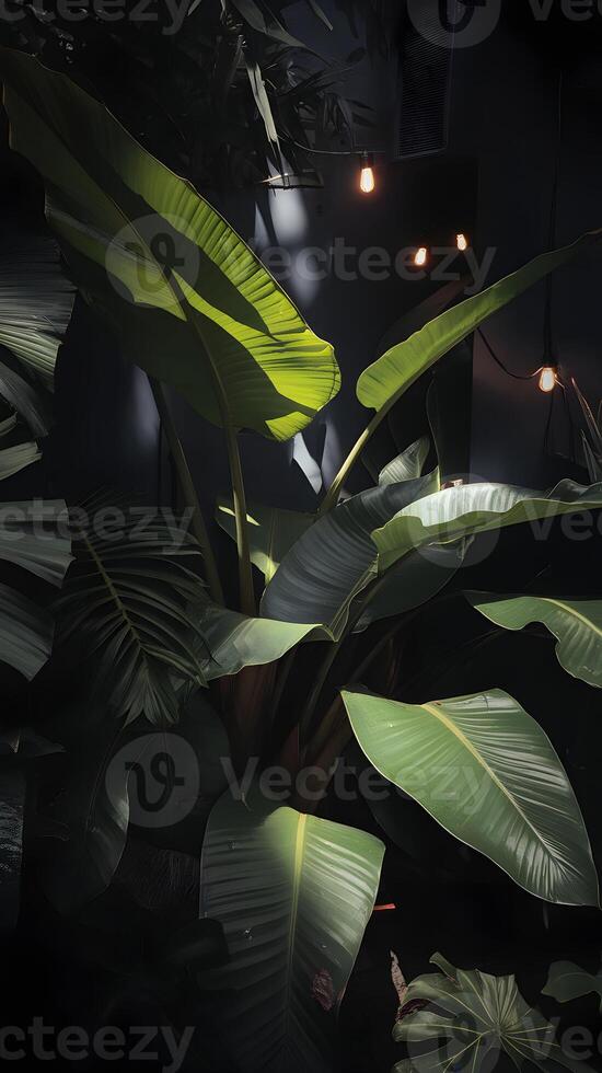 Tropical plants basking in light, vibrant greens and serene shadowed surroundings Vertical Mobile Wallpaper photo