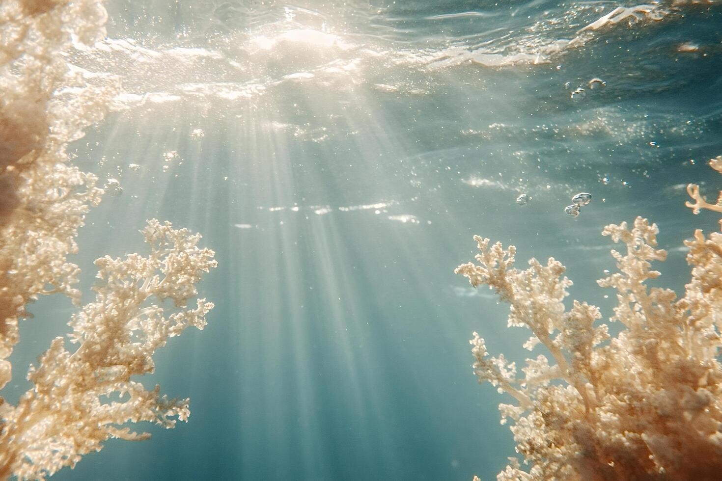 Sunlight filtering through ocean water illuminating coral reef photo