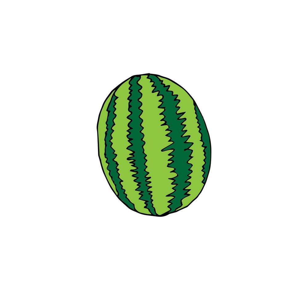 Hand drawn doodle sketch watermelon isolated on white background vector