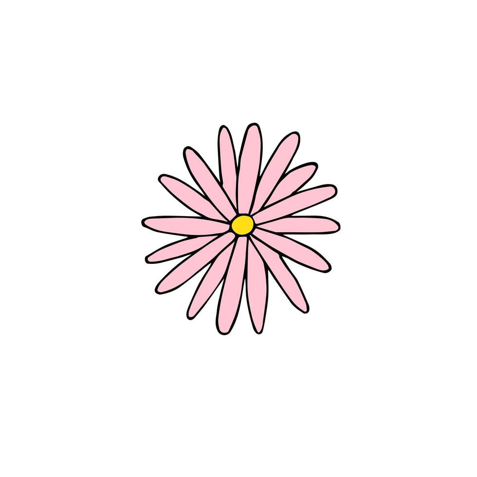 Hand drawn doodle chamomile flower vector