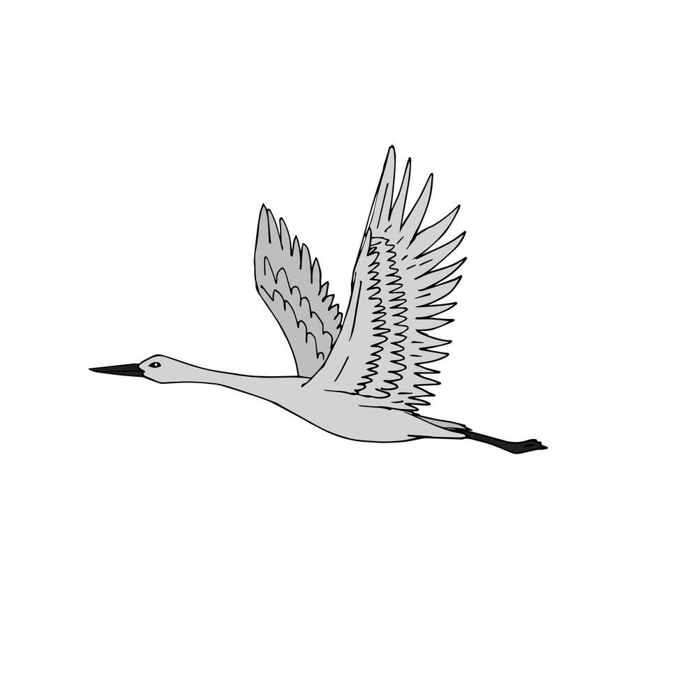 Hand drawn sketch flying crane bird vector