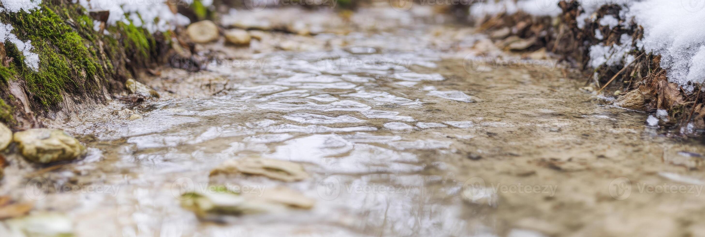 Tranquil stream with rippling water and mossy banks in natural surroundings photo