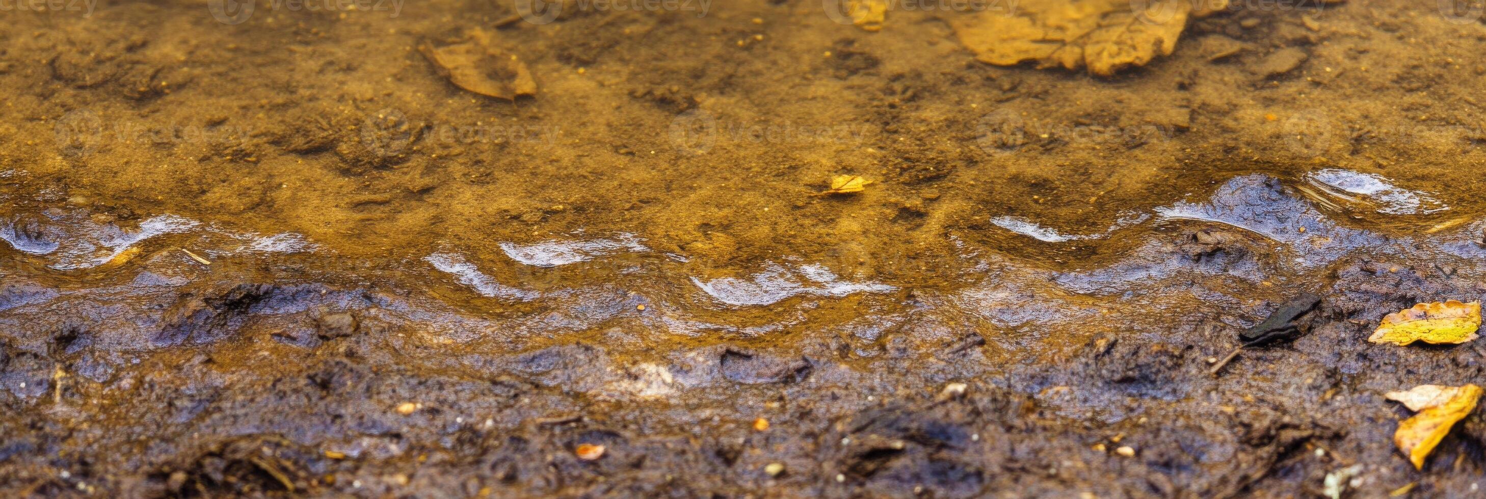 Surface of muddy water near shoreline with fallen autumn leaves reflections photo