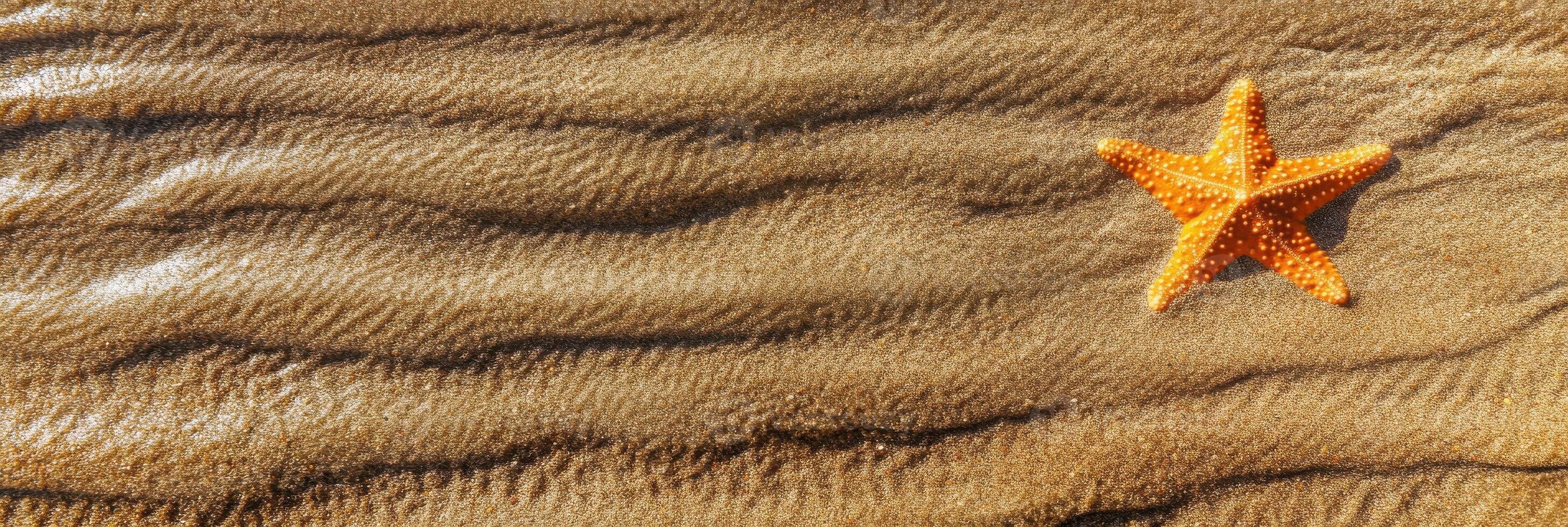 Orange starfish on rippling sandy beach background in bright sunlight photo